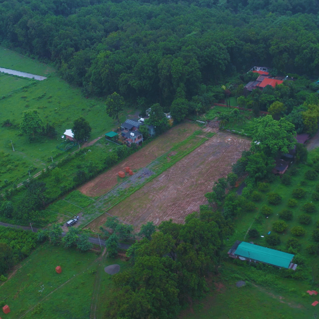 Plot in Kandoli